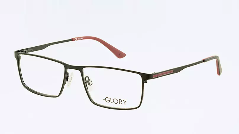 Оправа GLORY 713 BLACK 2392₽