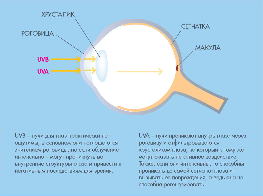 Излучения глаз. Влияние ультрафиолетового излучения на глаза человека. Ультрафиолетовое излучение сетчатка глаза. Влияние УФ лучей на глаза. Влияние на глаза ультрафиолетового излучения.