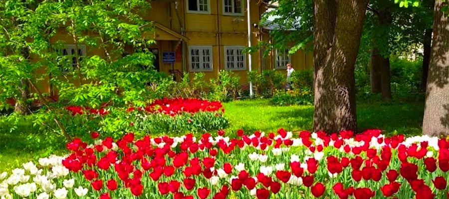 Как спрятаться от солнца: парки & солнцезащитные очки