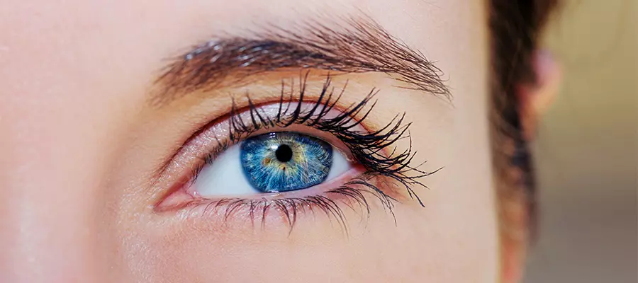 гетерохромия гетерохромия