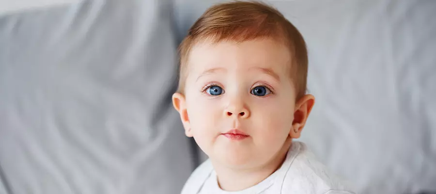 Анизокория: что это такое Анизокория: что это такое