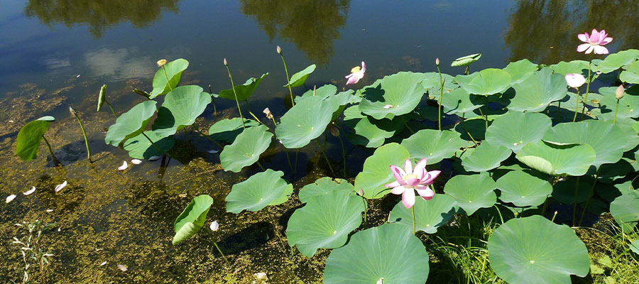 Что хочется увидеть: 4 невероятно красивых озера