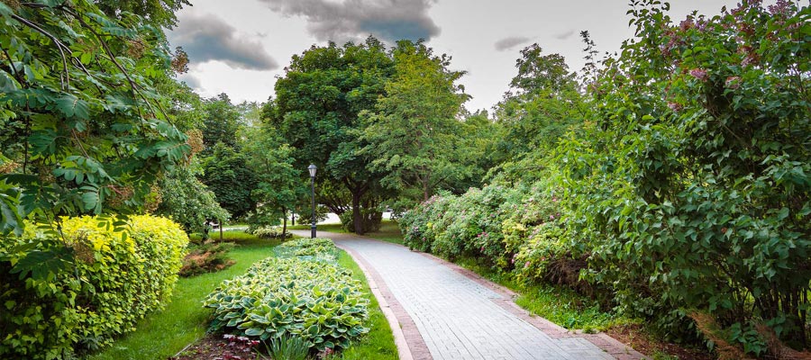 Как спрятаться от солнца: парки & солнцезащитные очки