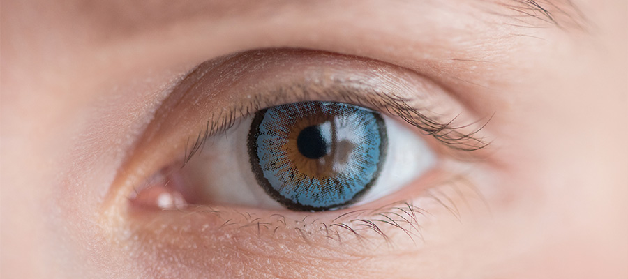 Как долго можно носить линзы не снимая? Как долго можно носить линзы не снимая?