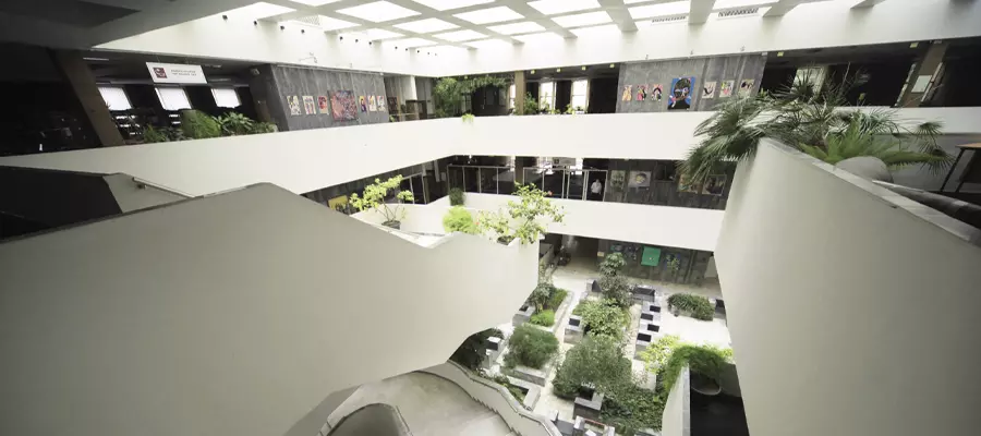 День селфи в библиотеке: какую выбрать локацию и что добавить на снимок