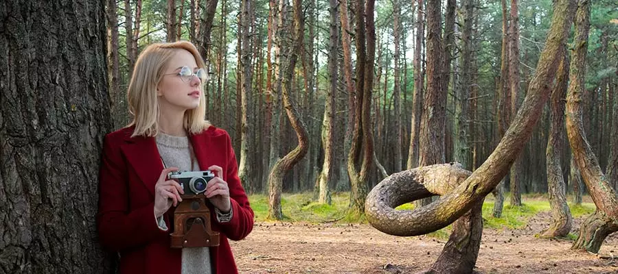 Калининград: что посмотреть и взять в дорогу