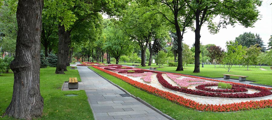 Как спрятаться от солнца: парки & солнцезащитные очки