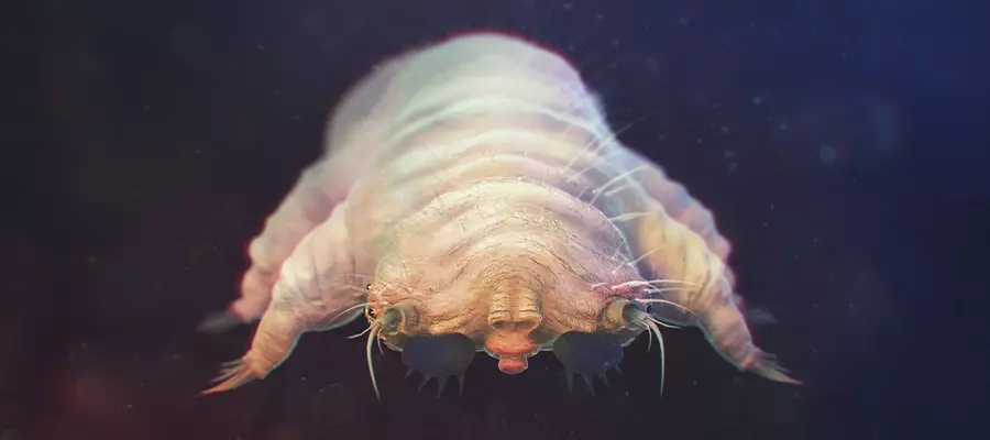 Почему возникает демодекоз