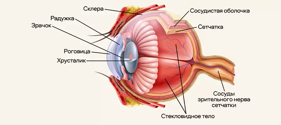 Ретинопатия — симптомы и лечение