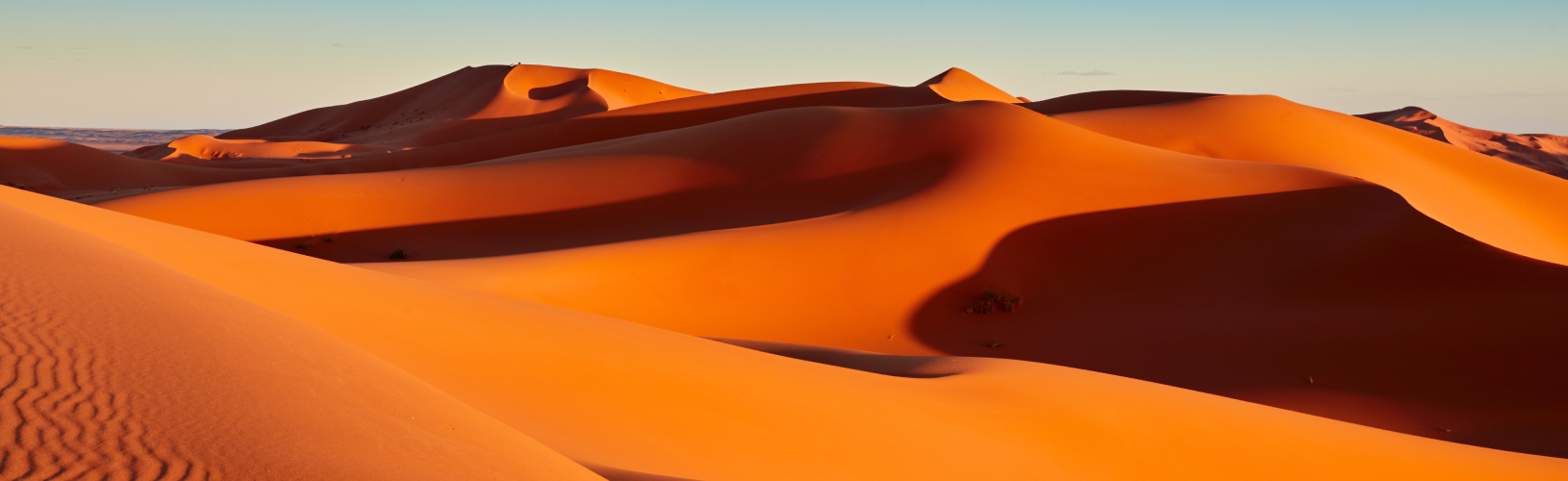 Оптические иллюзии: что это и почему они возникают