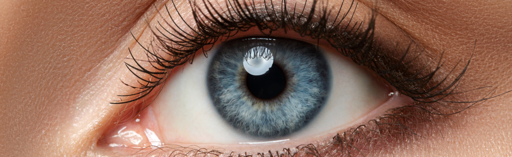 Самые интересные факты о зрении