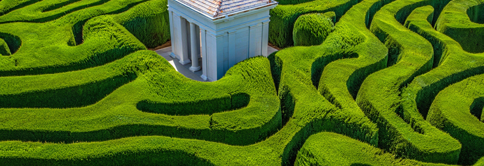 hedge maze
