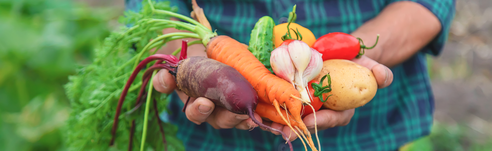 Естественные источники витаминов для глаз