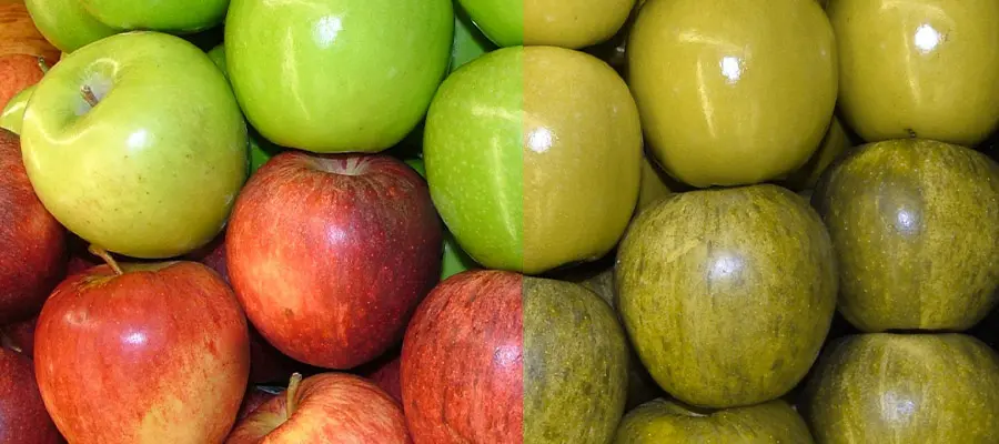 Цветоощущение и методы его исследования