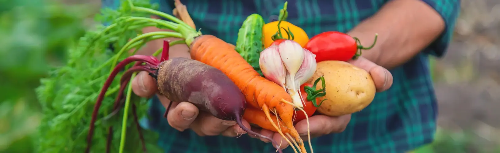 5 секретов отличного зрения