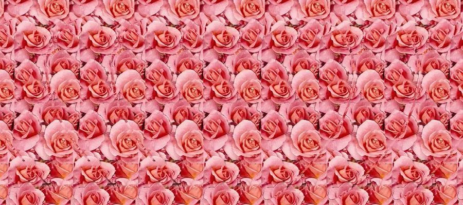 Стереокартинки для улучшения зрения