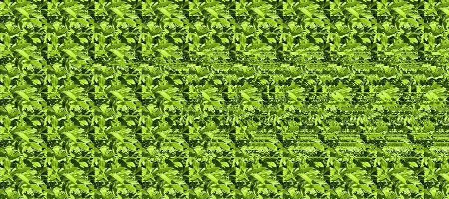 Стереокартинки для улучшения зрения