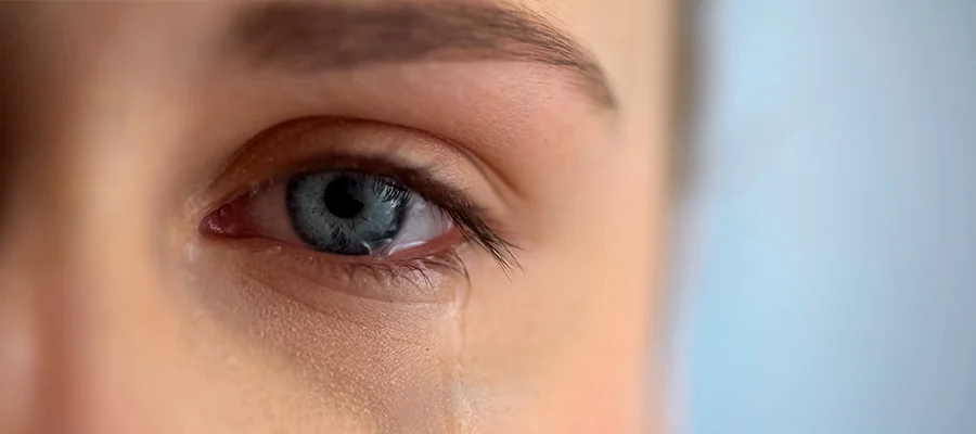 Светобоязнь