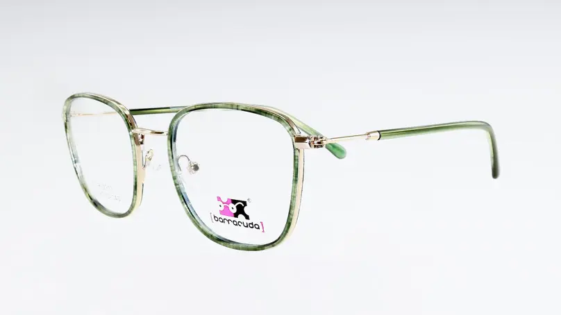 Оправа Barracuda BS-812317 С3