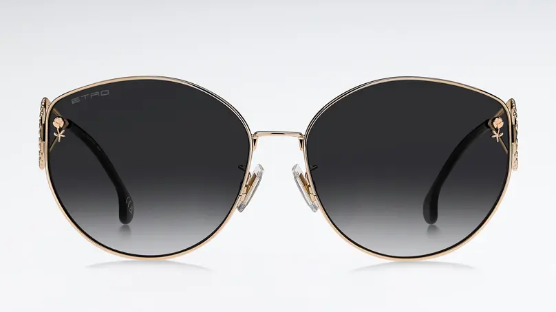 Солнцезащитные очки ETRO ETRO 0072/F/S 000