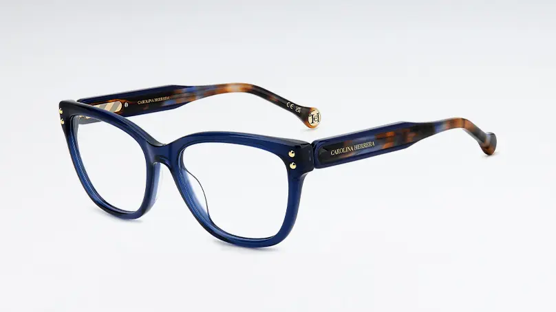 Оправа Carolina Herrera HER 0317/G PJP