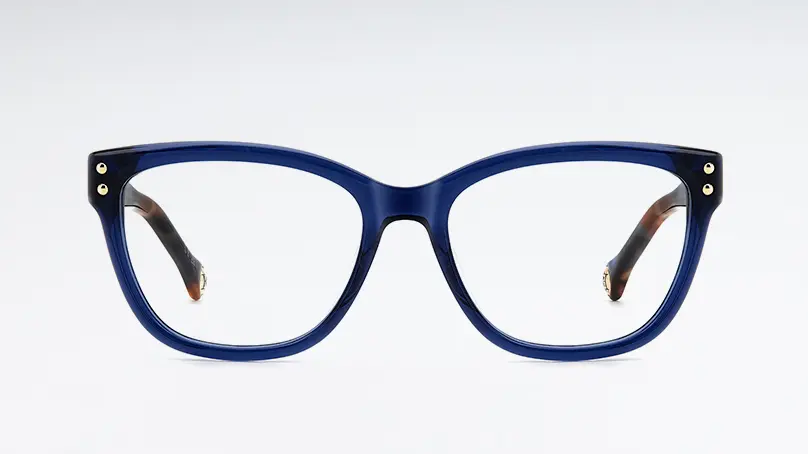 Оправа Carolina Herrera HER 0317/G PJP