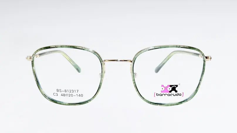 Оправа Barracuda BS-812317 С3