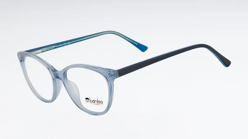 Оправа BANISS BS7103 С01