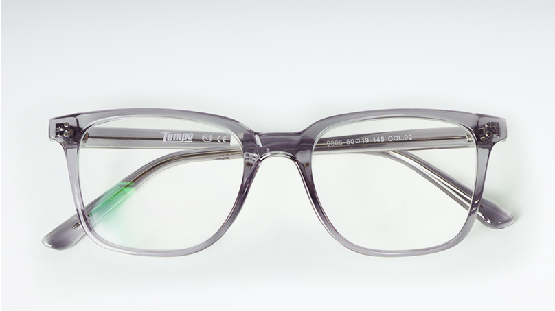 Очки для компьютера Tempo 9005 С02