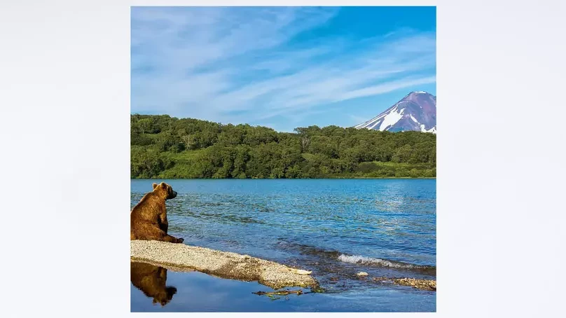 Салфетка KAP-2020 RUS-006