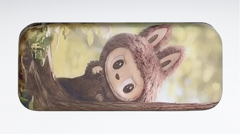 Футляр Y1802241 в ассортименте