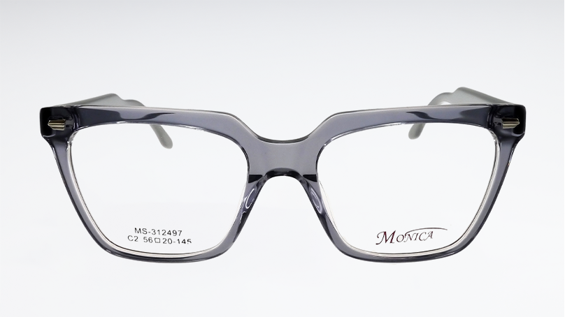 Оправа MONICA MS-312497 c2