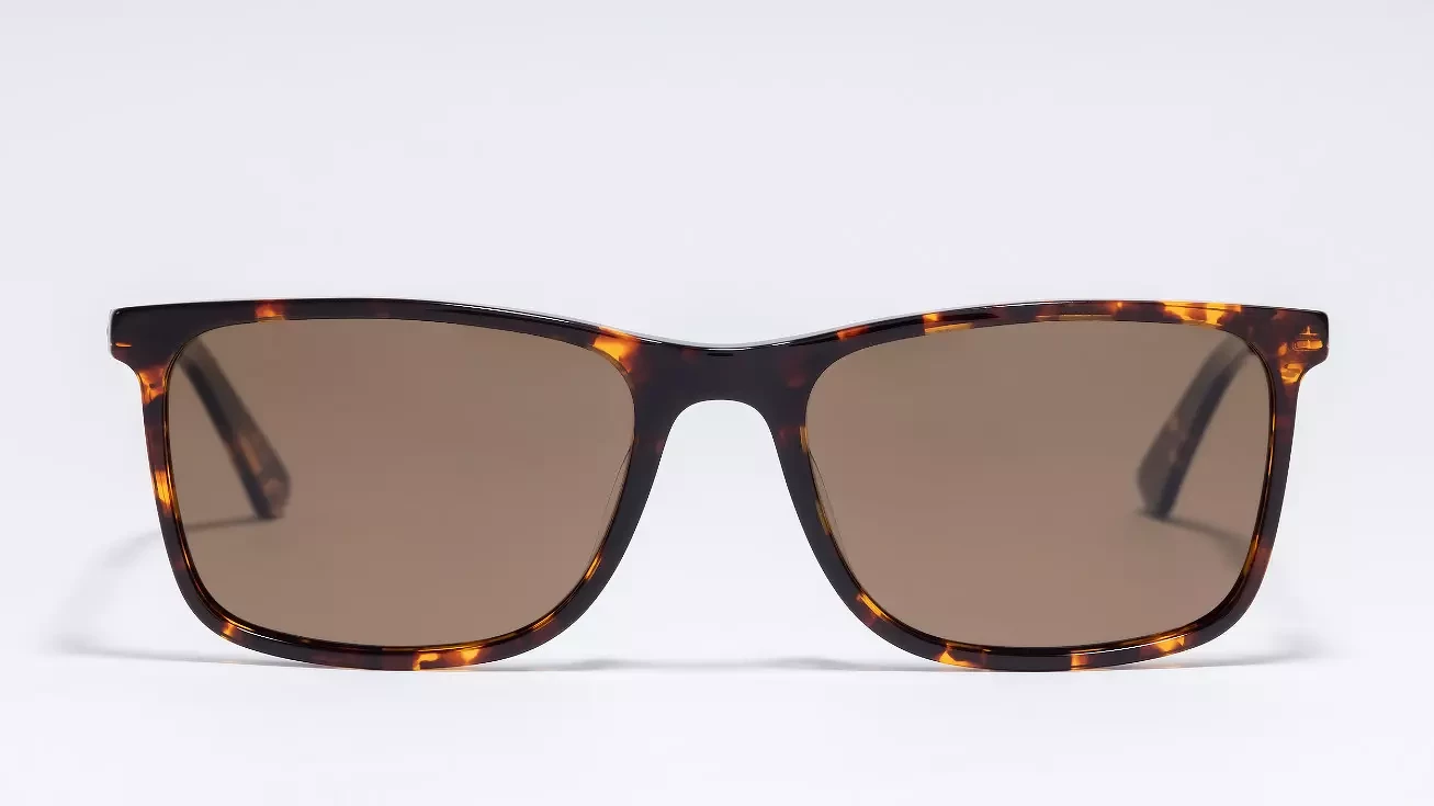 Солнцезащитные очки Trendy TDS0014 TORTOISE