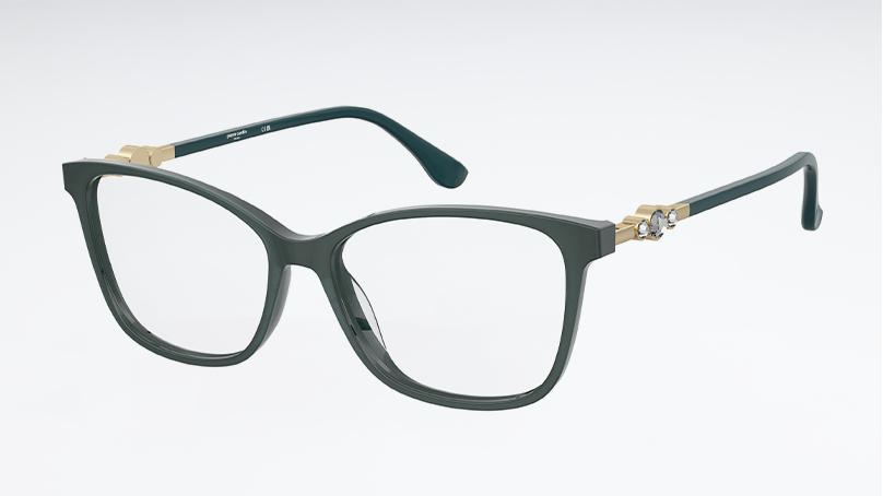 Оправа PIERRE CARDIN P.C. 8555 1ED