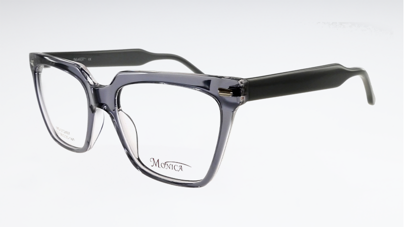 Оправа MONICA MS-312497 c2