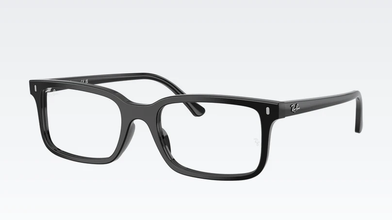 Оправа Ray Ban 0RX5445 2000