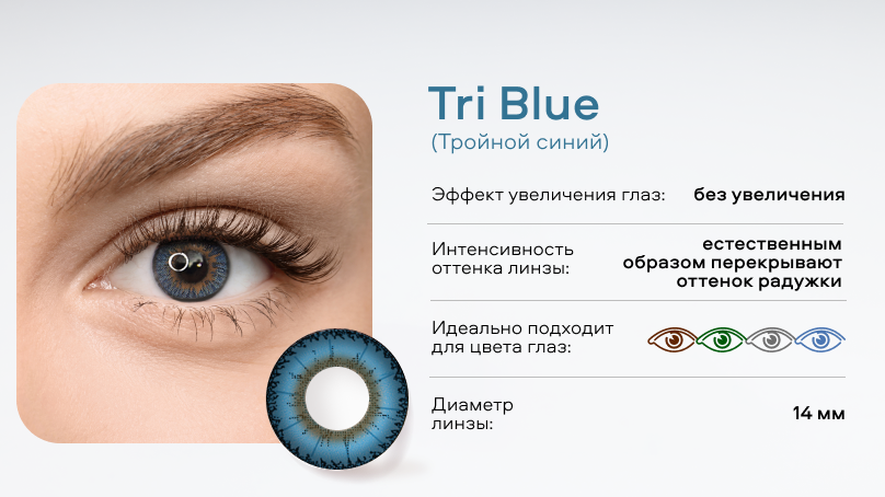 Цветные линзы Amore (2 шт.)