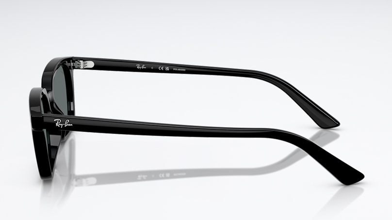 Солнцезащитные очки Ray Ban 0RB4456 667781