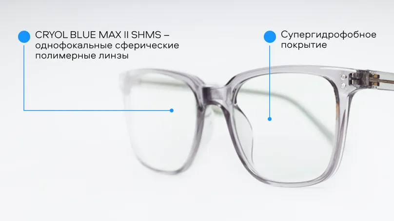 Очки для компьютера Tempo 9005 С02