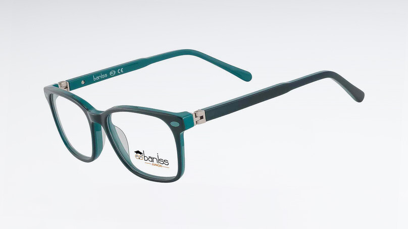 Оправа BANISS BSJ6837 с03