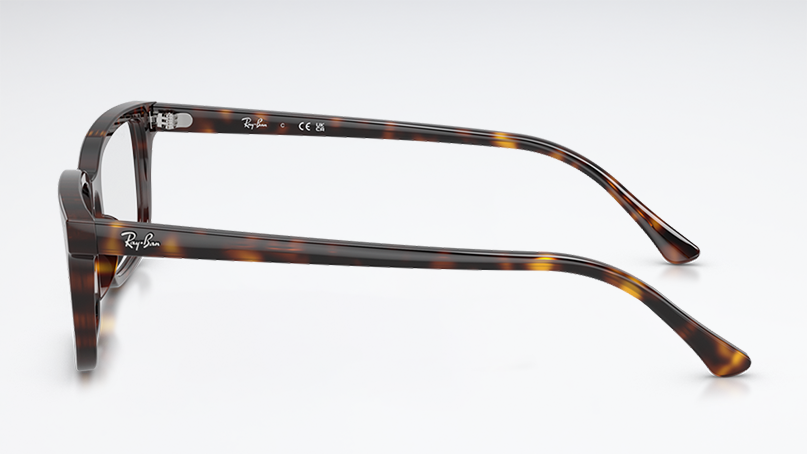 Оправа Ray Ban 0RX5445 2012