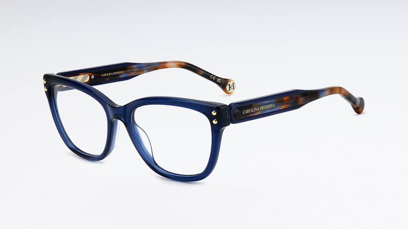 Оправа Carolina Herrera HER 0317/G PJP