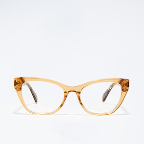 Оправа Enrico Coveri 109 BR