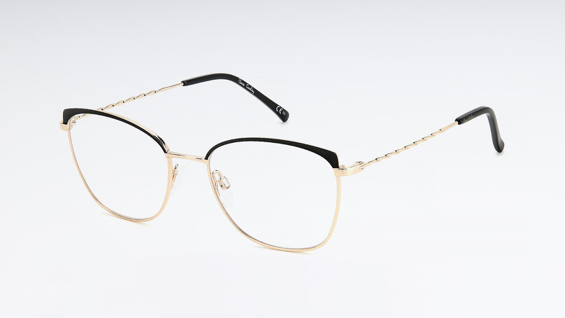 Оправа PIERRE CARDIN P.C. 8879 I46