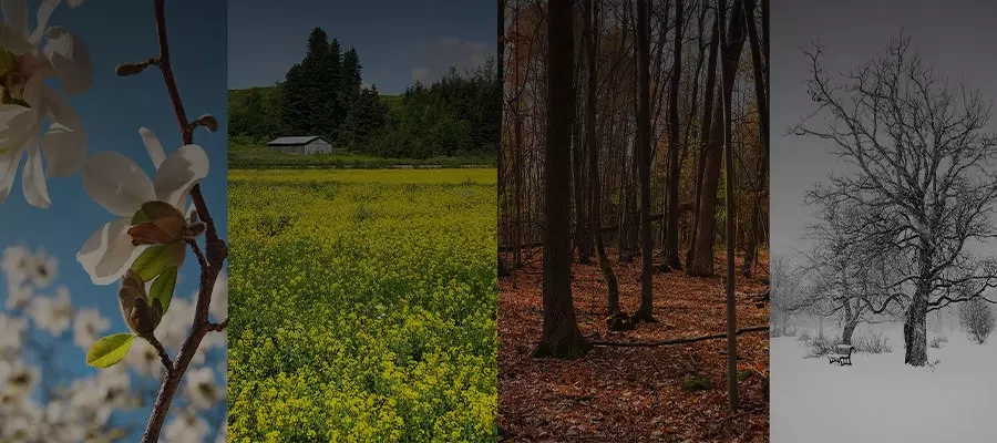 Универсальные солнцезащитные очки: носим круглый год