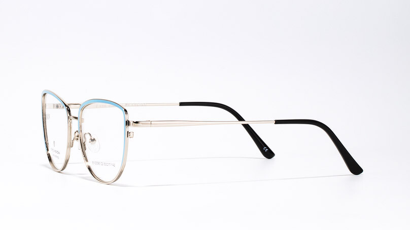 Оправа EYE VISION 23095 C2