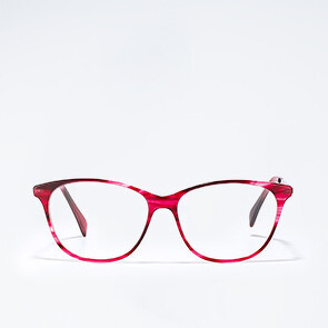 Оправа EYE VISION 1008 C2