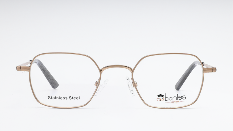 Оправа BANISS BY1010 COL.02