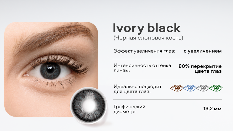 Цветные линзы OKVision FUSION Color (2 шт.)