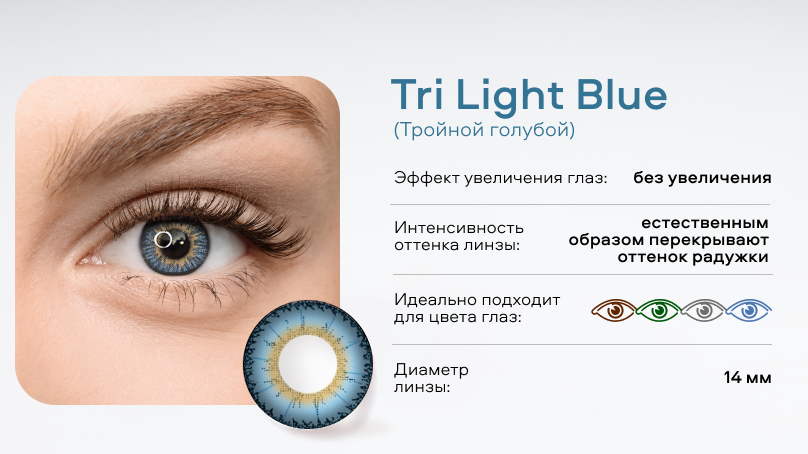 Цветные линзы Amore (2 шт.)